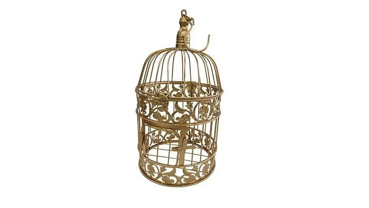 16.5", Birdcage, Metal, Gold — available to rent from Something Blue