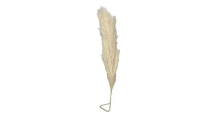 44", Floral, Pampas Grass, woodtone — available to rent from Something Blue