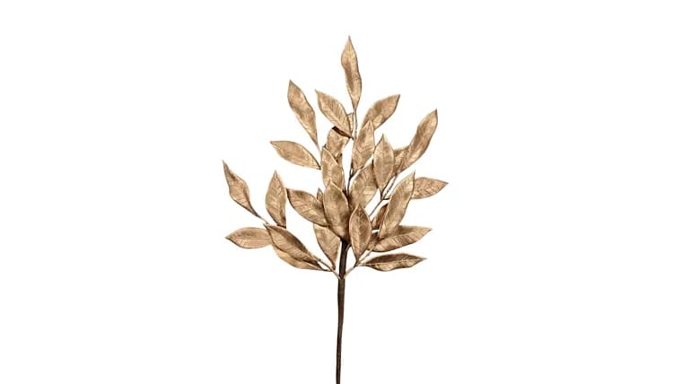 Bronze Picks — available to rent from Something Blue