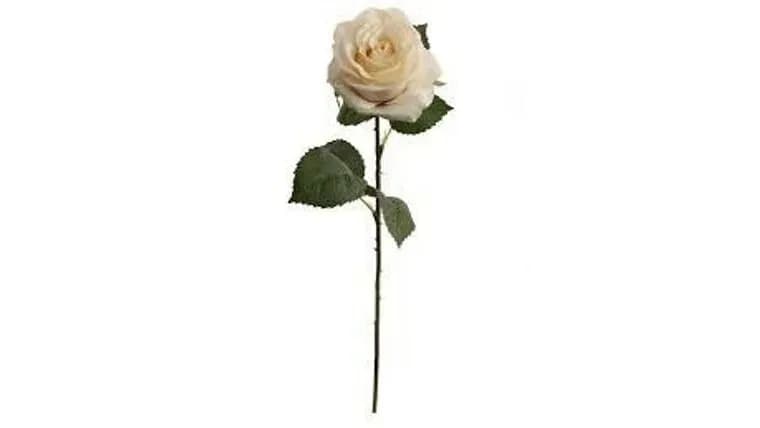 Cream Floral Stem — available to rent from Something Blue