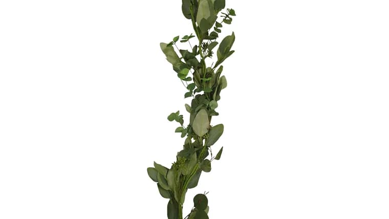 Garland, Variegated Eucalyptus Wired — available to rent from Something Blue
