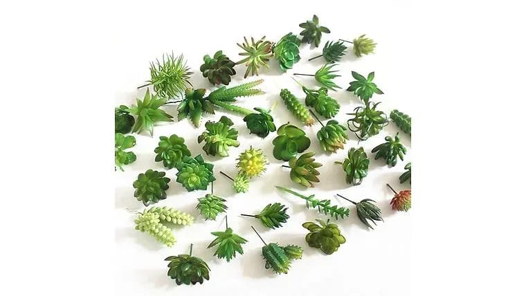 Greenery Picks Various — available to rent from Something Blue