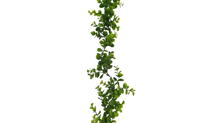 Kentucky- Garland, Boxwood — available to rent from Something Blue