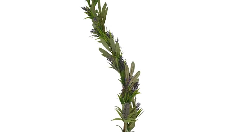 Lavender- Garland — available to rent from Something Blue