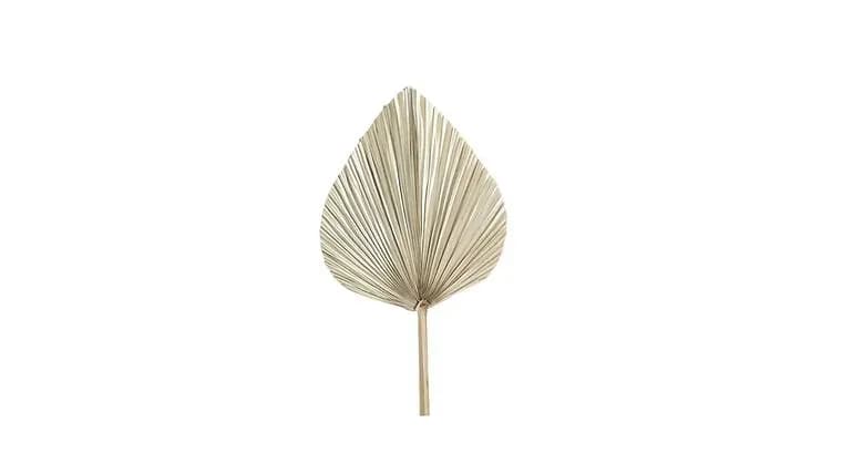 Palm Leaves, 17.75", Natural — available to rent from Something Blue