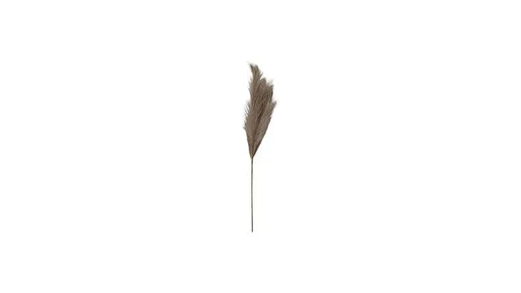 Pampas Grass 32" — available to rent from Something Blue