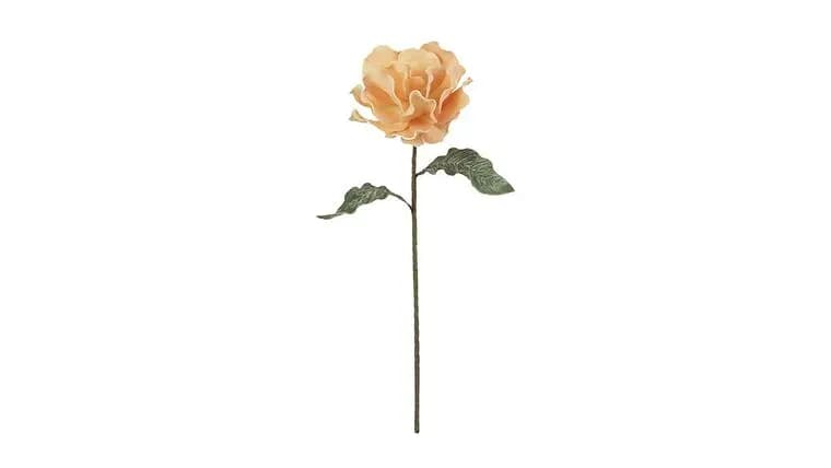 Peach Floral Stem — available to rent from Something Blue