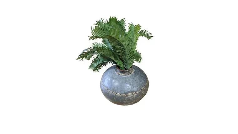 Plant, XL, galvanized, — available to rent from Something Blue