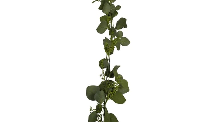 Sasha- Garland Seeded Eucalyptus — available to rent from Something Blue