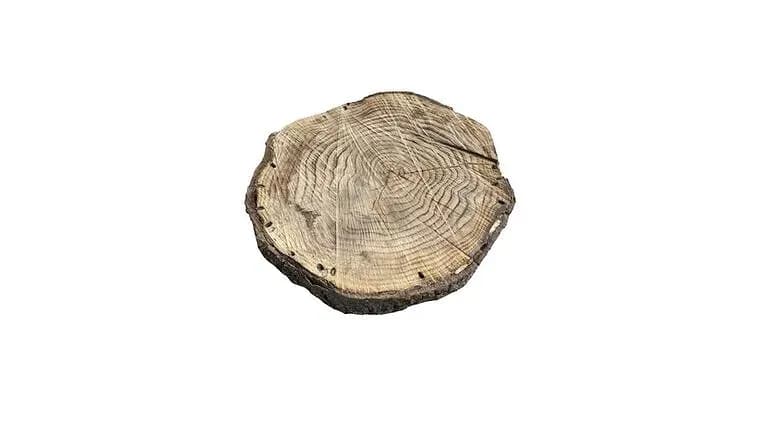 Wood Cookie, Various, Wood — available to rent from Something Blue