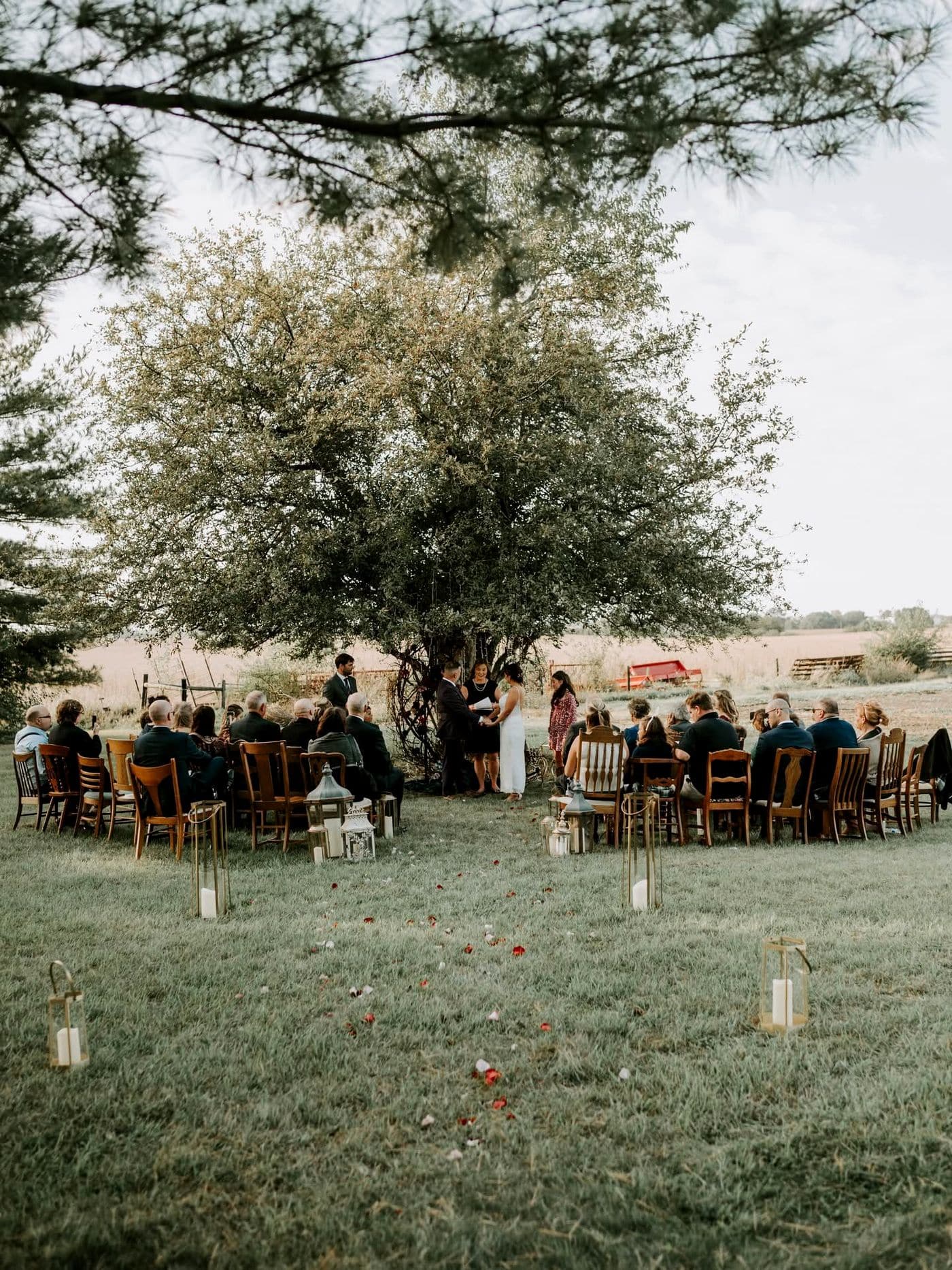 An intimate outdoor wedding ceremony beneath a large tree in a rural field, with guests seated in mismatched wooden chairs along a petal strewn aisle lined with lanterns.